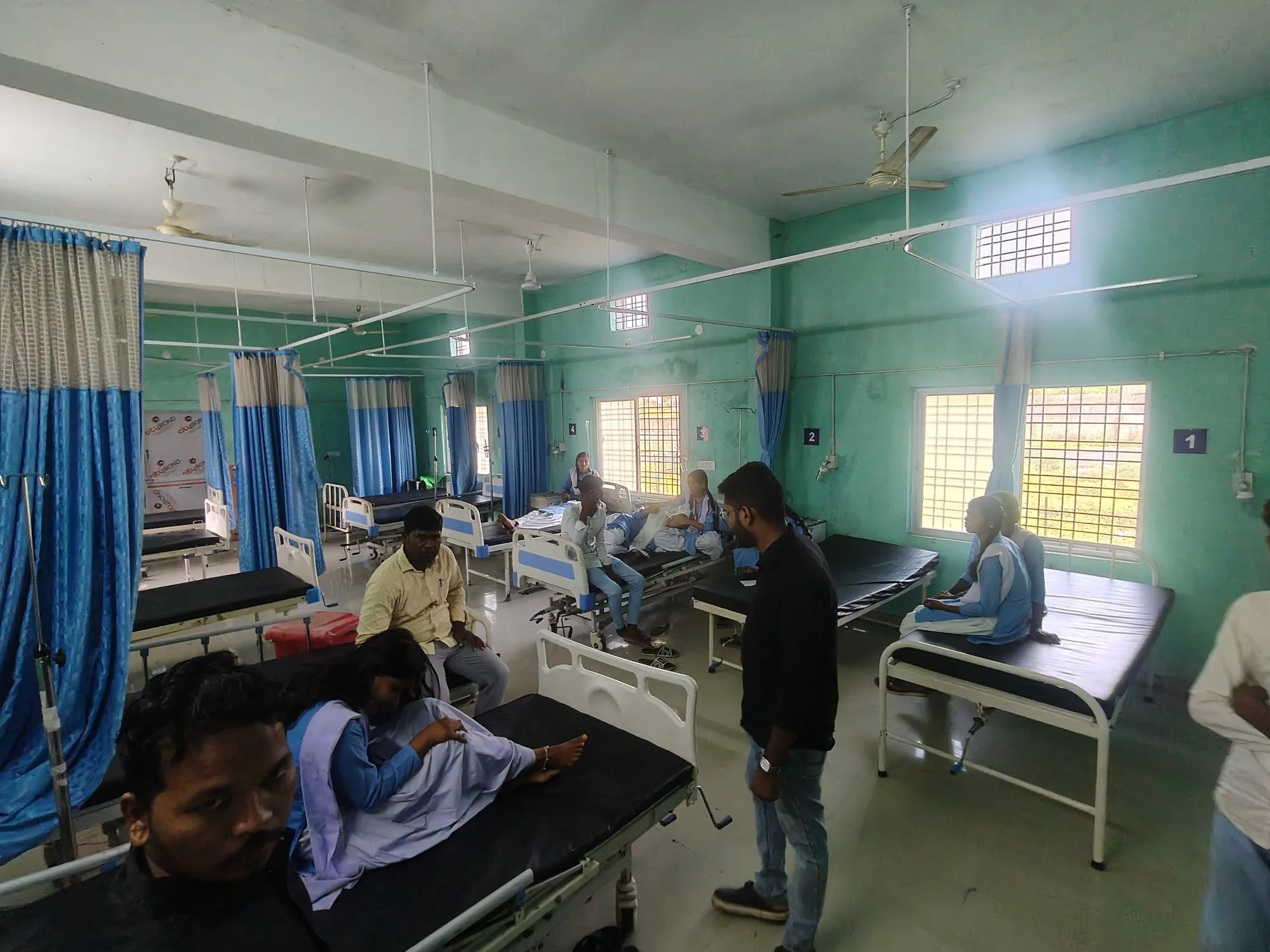 मधुमक्खियों के हमले से स्कूल में मची अफरा-तफरी, 11 बच्चे और दो शिक्षक घायल