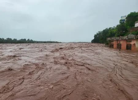 वियतनाम में बाढ़ की तबाही : 67,700 से ज्यादा घर डूबे, अनाज और पशुओं पर भी आया संकट