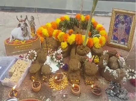 भीलवाड़ा में गौवंश और प्रकृति का अनूठा संगम, गृहणियों ने पूरी श्रद्धा से की गोवर्धन पूजा