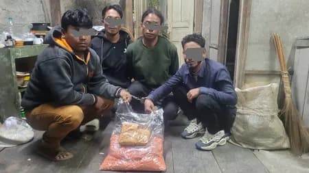 बीएसएफ ने 4.79 करोड़ की प्रतिबंधित ड्रग्स जब्त की, चार तस्कर गिरफ्तार
