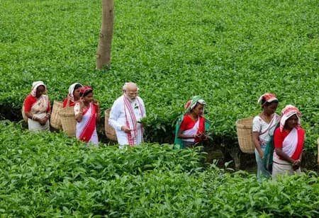 पीएम मोदी का डिब्रूगढ़ चाय बागान दौरा, महिला श्रमिकों संग तोड़ी चाय की पत्तियां