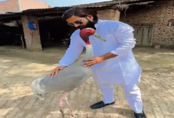 सोशल मीडिया में चर्चित आरिफ का दोस्त सारस पक्षी विहार से गायब