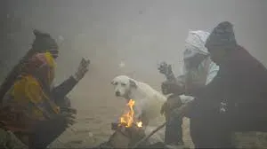 राजधानी के लोगों को गलन और ठिठुरन से जीना हुआ मोहाल, अभी तीन दिन तक राहत नहीं