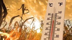 दिल्ली-एनसीआर में आग उगलता मौसम, दो दिन तक 45°C के पार रहेगा तापमान; IMD का येलो अलर्ट