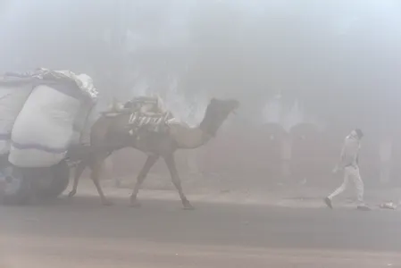 घने कोहरे ने धीमी की राजस्थान की गति, कम विजिबिलिटी से प्रभावित हुए लोग