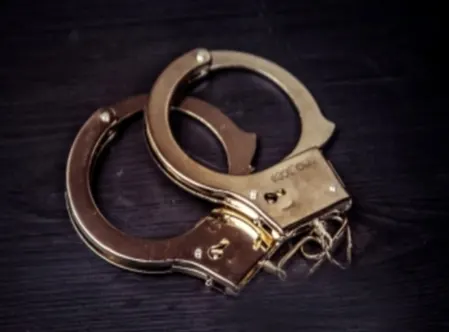 दिल्ली पुलिस ने वाहन चोरी में युवक को किया गिरफ्तार, पिस्तौल और चोरी के वाहन बरामद