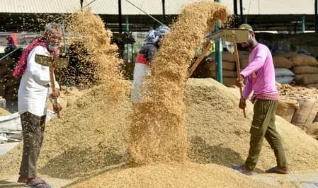 यूपी में बनेगा देश का पहला बासमती व जैविक प्रशिक्षण केंद्र, जमीन लीज को मंजूरी