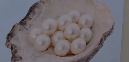 कम लागत में ज्यादा मुनाफा, रायसेन कृषि मेले में सिखाई जा रही मोती की खेती