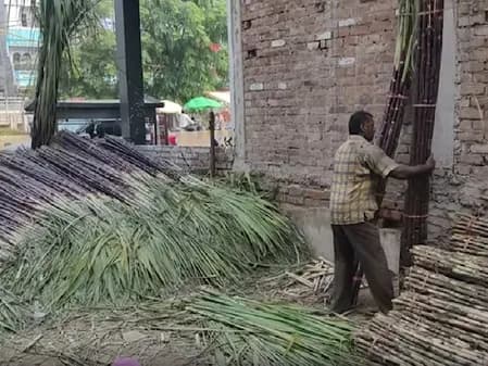 यूपी में गन्ना किसानों की फसल का होगा जीपीएस सर्वे, सीएम योगी के निर्देश पर तैयारी शुरू