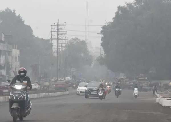 कई शहरों में सर्दी ने पकड़ी रफ्तार, छा रहा कोहरा, ग्वालियर-चंबल में बढ़ेगी ठंड