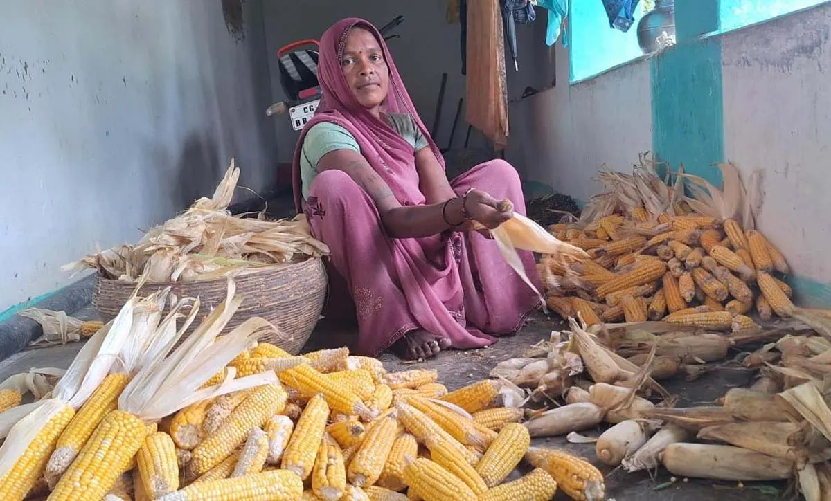 पहाड़ी क्षेत्र की रामबाई के लिए महतारी वंदन योजना की राशि बना संजीवनी