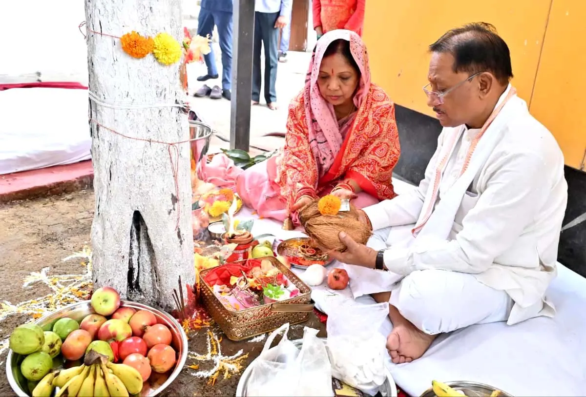 मुख्यमंत्री साय ने आंवला नवमी पर आंवला वृक्ष की पूजा कर प्रदेशवासियों के सुख-समृद्धि की कामना की