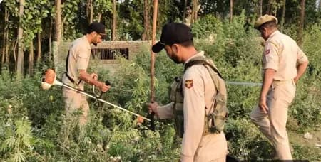 नशा मुक्त अभियान के 100 दिन, बारामूला पुलिस की बड़ी कार्रवाई