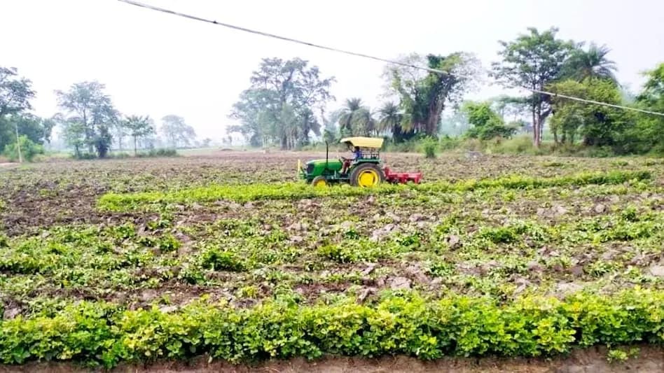 रसायनिक खाद का बेहतर विकल्प है हरी खाद, बढेगी मिट्टी की उर्वरा शक्ति : डॉ राय