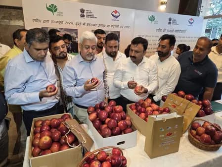 1.2 मीट्रिक टन 'गढ़वाली सेब' की पहली खेप देहरादून से दुबई के लिए हुई रवाना : एपीडा