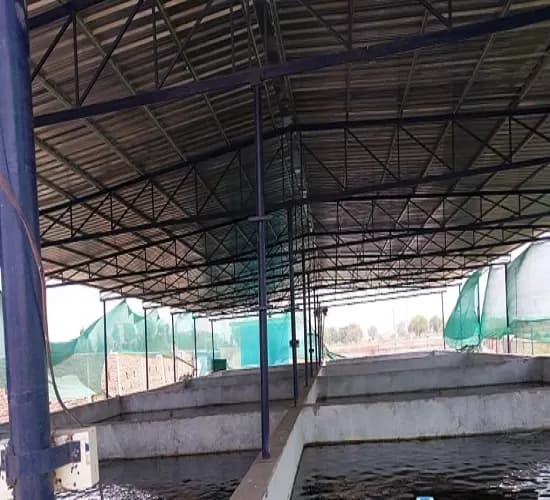 अमेरिका से नौकरी छोड़कर कानपुर में शुरू किया मत्स्य पालन का कारोबार