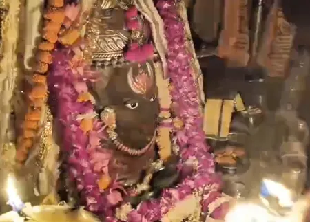 बाबा महाकाल का भांग और भस्म से अलौकिक शृंगार, दर्शन कर गदगद हुए श्रद्धालु