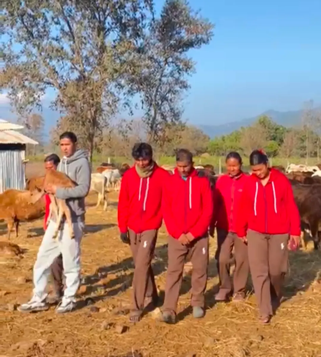 मुख्यमंत्री योगी के नाम पर नेपाल में शुरू हुई गौशाला