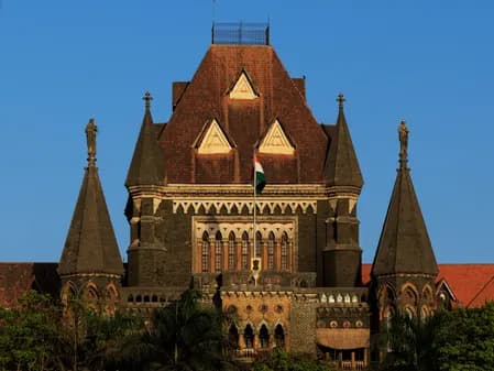 आवारा कुत्तों के बाद अब कबूतरों पर कार्रवाई, बॉम्बे हाईकोर्ट से दाना डालने पर रोक बरकरार