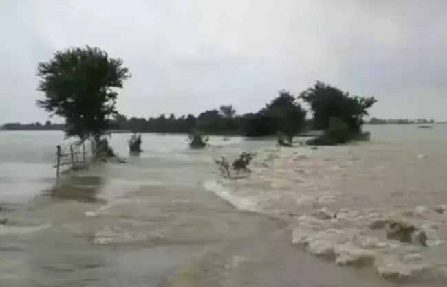 पटना में गांधी और दीघा घाट पर गंगा नदी खतरे के निशान से ऊपर, बागमती, कोसी व गंडक भी उफान पर