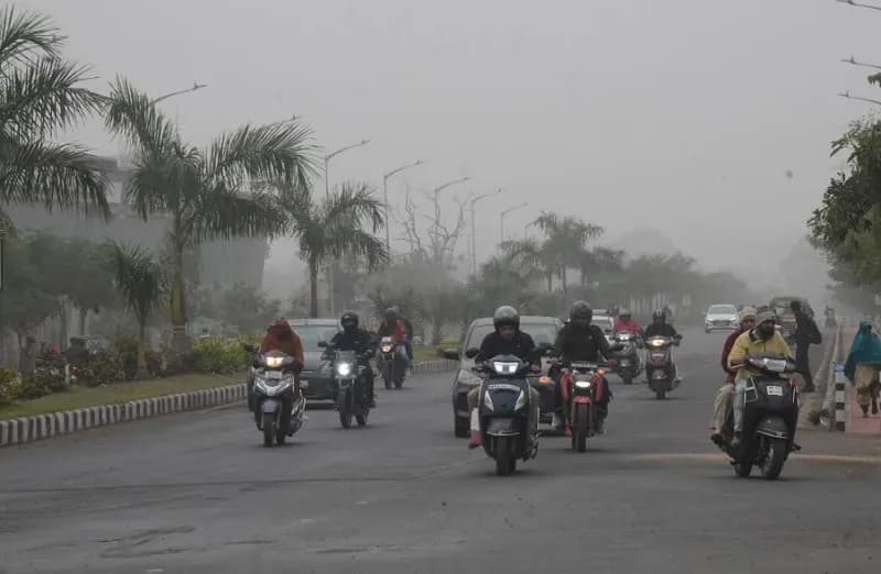 बर्फीली हवा से फिर ठिठुरा मध्य प्रदेश, आज भोपाल-सागर समेत 7 जिलों में कोल्ड-डे का अलर्ट