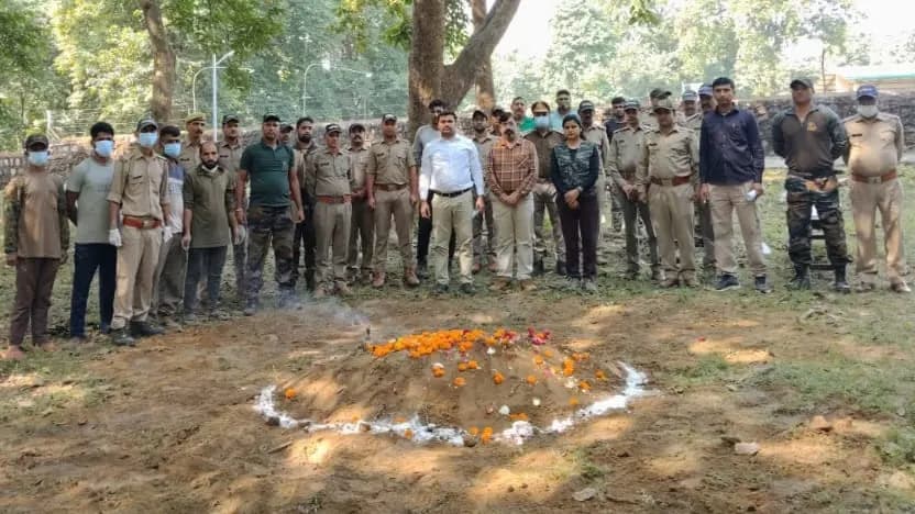 राजाजी टाइगर रिजर्व में स्निफर डॉग रानी की मौत, पांच दिन से लापता है रोजी
