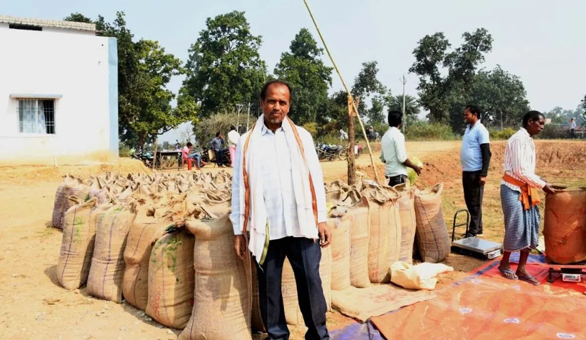 छत्तीसगढ़ में अब तक 8.95 लाख मीट्रिक टन धान की हुई खरीद
