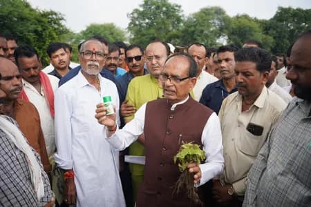 मध्य प्रदेश : घटिया कीटनाशक बेचने वाली तीन कंपनियों पर प्रकरण दर्ज