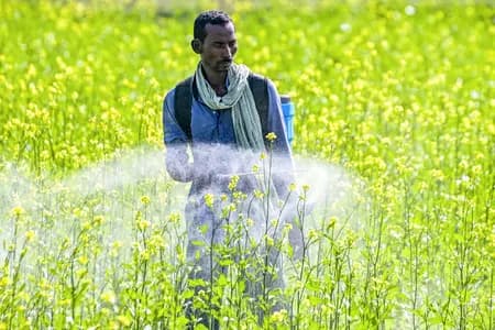हरियाणा ने कृषि और संबद्ध क्षेत्रों के लिए 1,122 करोड़ रुपए की योजना को मंजूरी दी