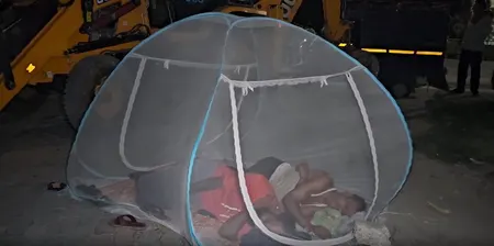 महाराजगंज में डीजल संकट से परेशान किसान, पेट्रोल पंपों पर मच्छरदानी लगाकर काट रहे रातें