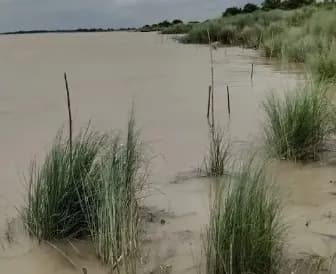 नदियों के जलस्तर में उछाल, गंगा-कोसी को लेकर प्रशासन सतर्क