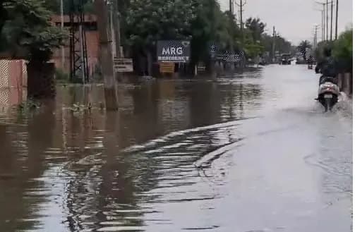राजस्थान के 26 जिलों में आज बारिश का अलर्ट