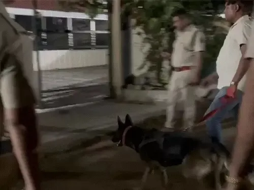बिलासपुर मस्तूरी गोलीकांड: आधी रात इनामी आरोपित के घर पुलिस की दबिश, ढाई घंटे तलाशी के बाद भी नहीं मिला सुराग
