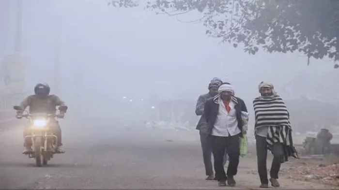 मध्य प्रदेश में 15 नवंबर से ठंड का असर होगा तेज, भोपाल-इंदौर, ग्वालियर में तापमान में आयी गिरावट