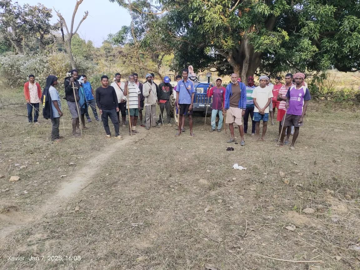 पुलिस ने नष्ट की 61 एकड़ में लगी अफीम की फसल