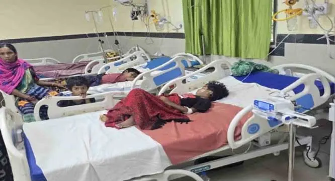 बस्तर संभाग में मलेरिया का प्रकोप, 8,426 मरीज पॉजिटिव; कांकेर में 10 दिन में तीन मौतें