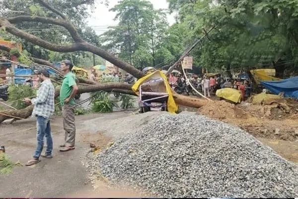 रांची में बारिश और तेज हवा का असर: हाई-टेंशन तार पर गिरा विशाल पेड़, कई इलाकों की बिजली ठप