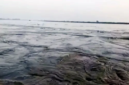 फरीदाबाद : 91 हजार से घटकर 79 हजार क्यूसेक पर पहुंचा यमुना का पानी