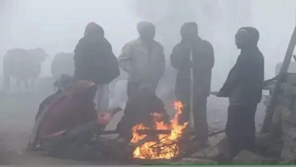 मध्य प्रदेश में पड़ रही कड़ाके की सर्दी, अगले दो दिन कोहरा और कोल्ड डे का अलर्ट