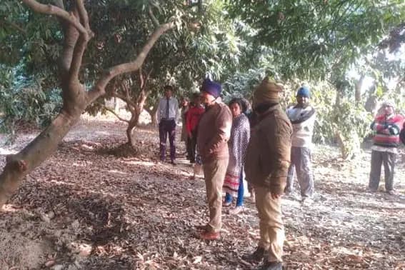युवक ने आम के पेड़ से लटककर की आत्महत्या
