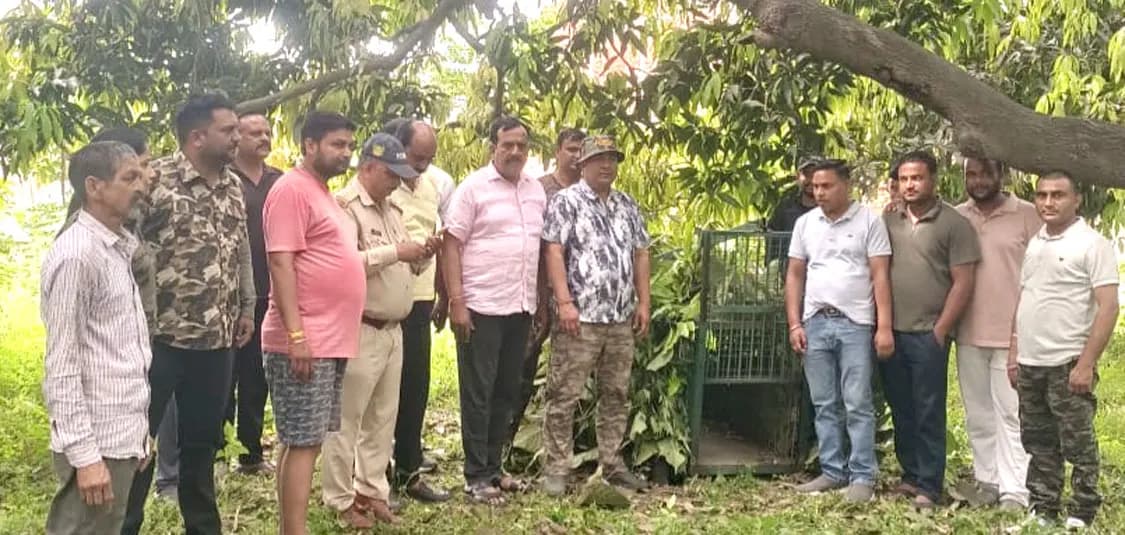 हरिद्वार में गुलदार का आतंक, दो दिन में तीन लोगों पर हमला