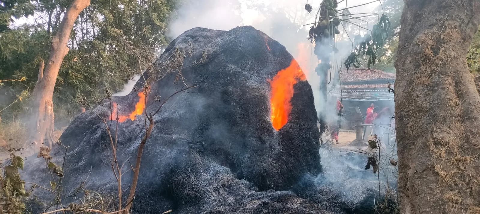 आग लगने से 20 ट्रैक्टर पुआल जलकर राख, मुआवजा देने की मांग