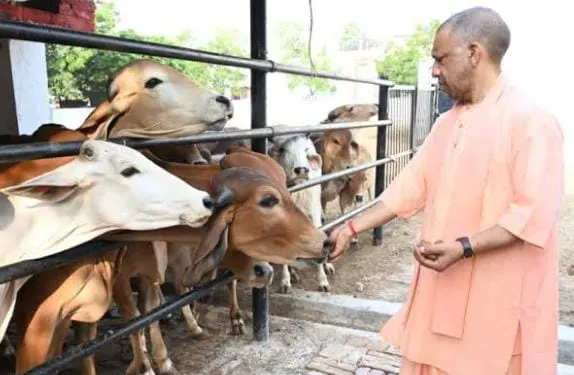 दुग्ध उत्पादन बढ़ाने पर 5 अगस्त को विकास भवन में विशेष गोष्ठी