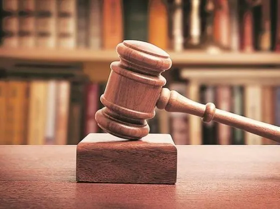 ऊंटों की घटती संख्या पर हाईकोर्ट ने जताई चिंता
