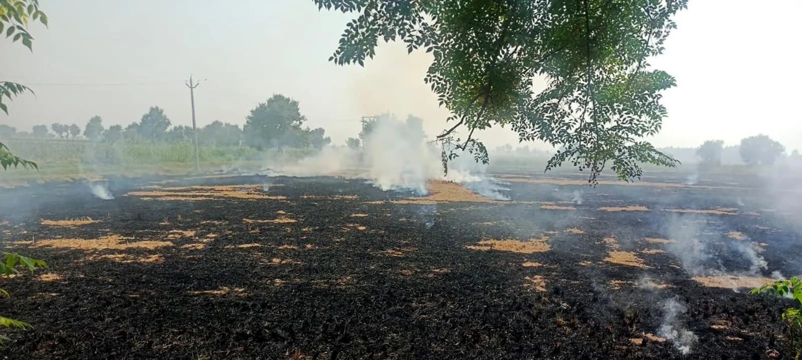 गुरुग्राम में छठ घाटों पर लगे बटेंंगे तो कटेंगे काे हाेर्डिंग