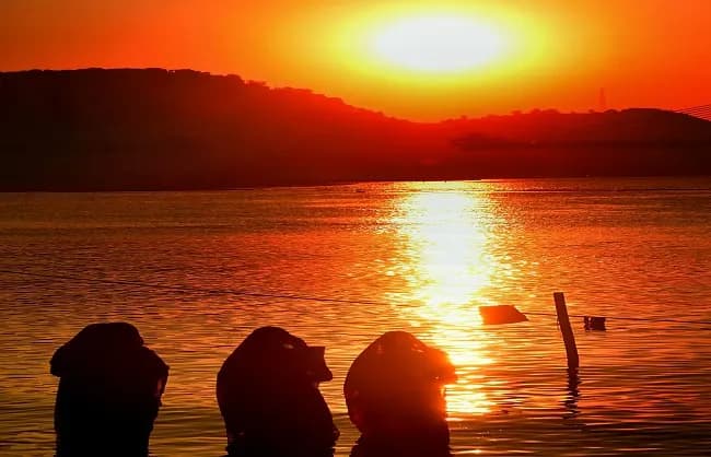 उगते सूर्य को अर्घ्य देने के साथ छठ महापर्व का समापन