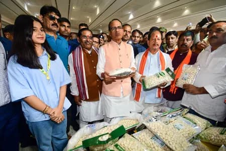दुनिया भर में बढ़ी बिहार के मखाने की मिठास! 20 से ज्यादा देशों में पहुंचा 7 हजार टन मखाना, सुपरफूड के रूप में उभरी पहचान