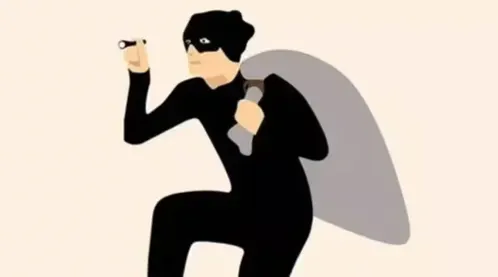 बांग्लादेश: सोना-चांदी नहीं,330 किलो बाल चोरी, चोरी ने पुलिस की चिंता