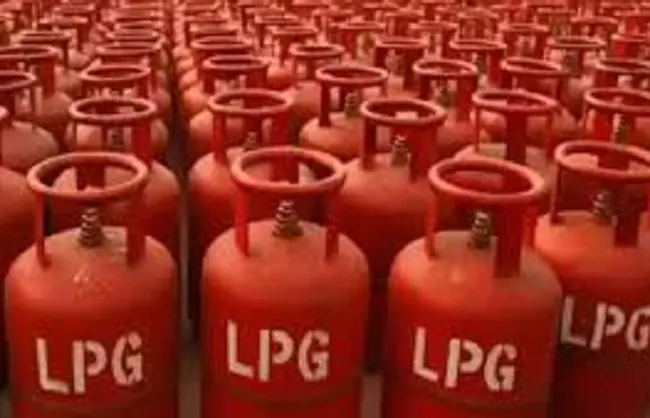 सरकार ने पीएनजी उपयोगकर्ताओं के एलपीजी सिलेंडर रखने पर लगाई रोक