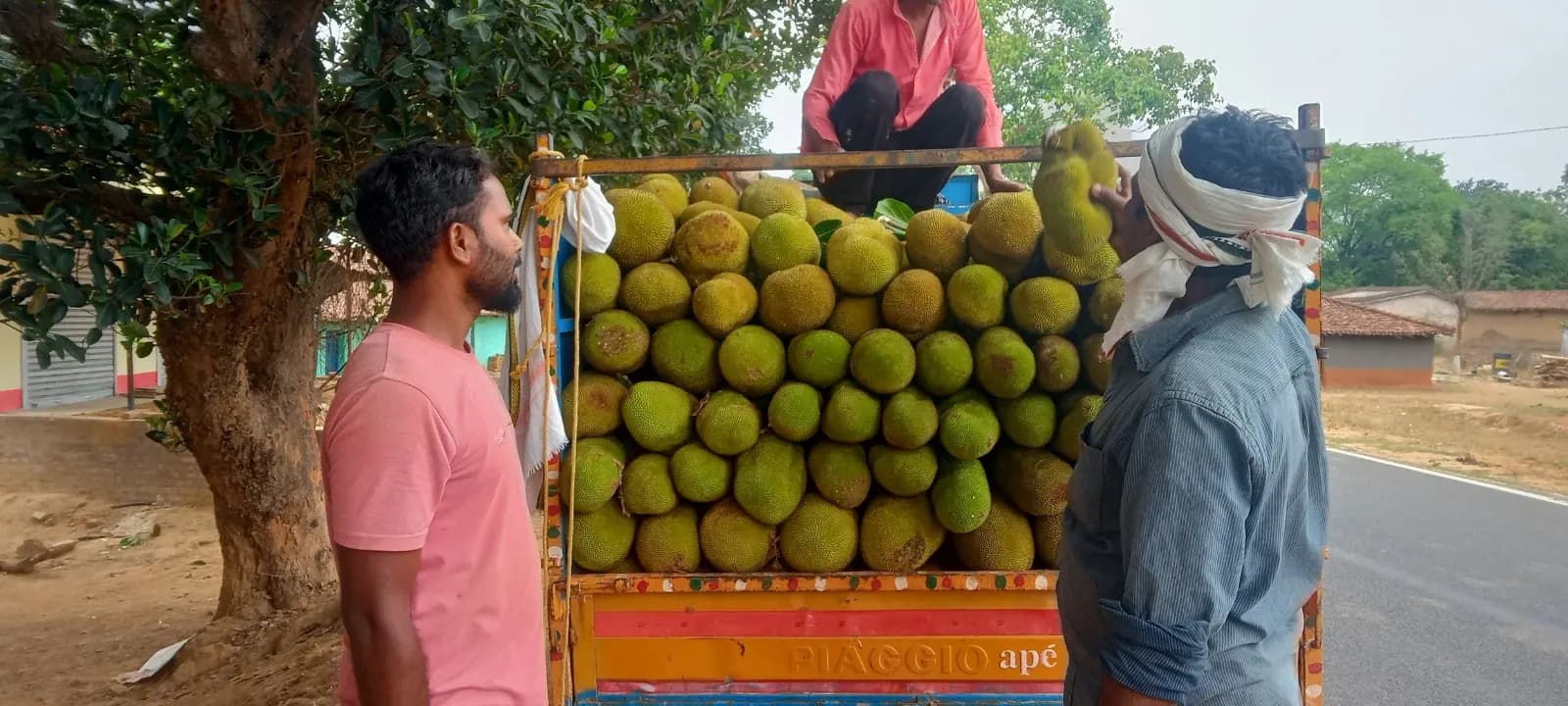 खूंटी का कटहल नेपाल के लोगों की पहली पसंद